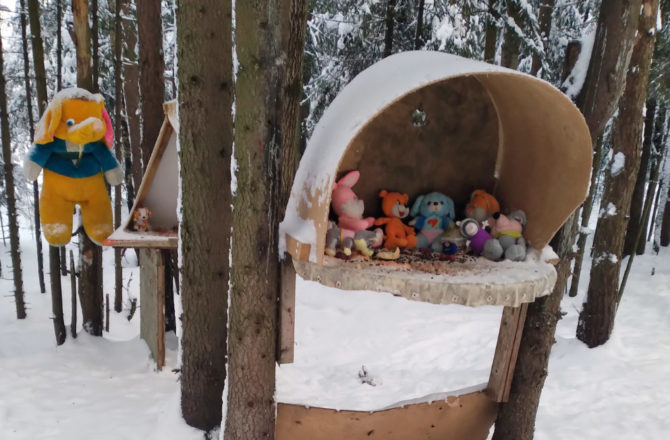 Соликамцы развесили игрушки на излюбленной лесной опушке